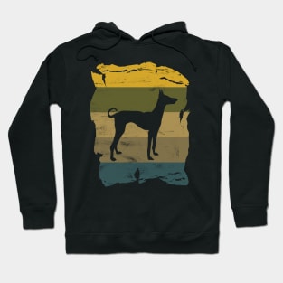 Ibizan Hound Distressed Vintage Retro Silhouette Hoodie